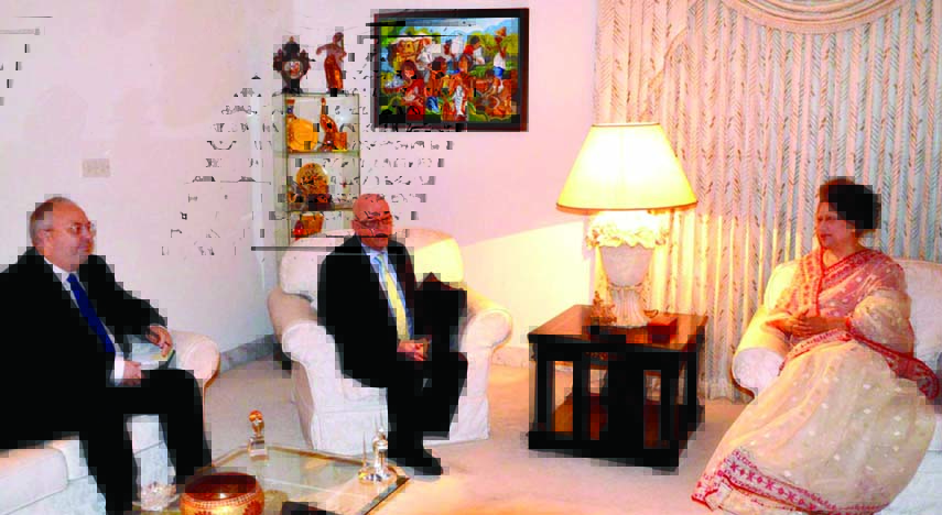 British High Commissioner to Bangladesh Robert Gibson paid a courtesy call on BNP Chairperson Begum Khaleda Zia at the latter's residence in the city's Gulshan on Wednesday.