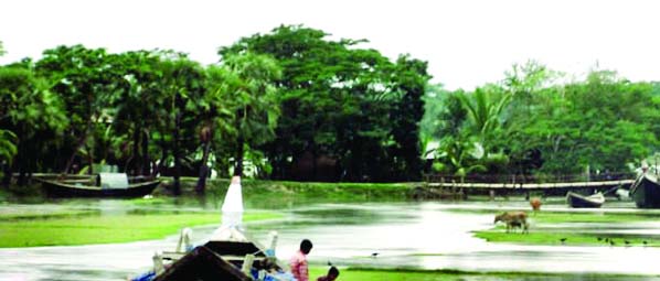 PATUAKHALI: Aus paddy cultivation in five villages of Laluya Union in Kalapara Upazila is being hampered as salty waters from the Bay have submerged crops field. This picture was taken on Wednesday.