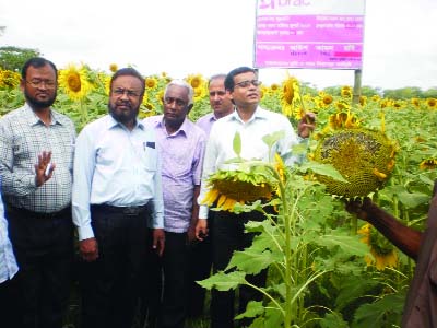 BETAGI(Barguna): Mir Johirul Islam, DC, Borguna visiting Surjomukhi Block at Purakata village recently. Among others, Shohidul Islam, Upazila Assistant Agriculture Extended Officer, Mir Nurul Hoque, Chairman, Patakata Union and Abdullah Al - Faruk, Repr