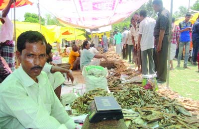 NASIRNAGAR (Brahmanbaria): A dry fish(shutki) festival was held at Kulikunda village of Nasirnagar Upazila on Wednesday.