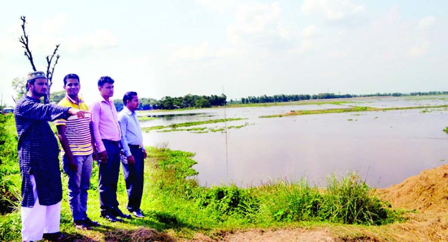 SYLHET: Transplanted Boro crops in the haor areas in South Surma upazila in the district have been submerged due to torrential rains recently.