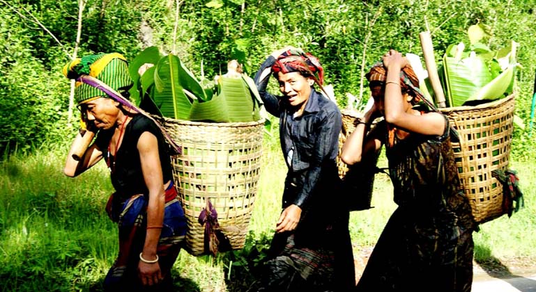 Hilly women are carrying cultivated vegetables from the hill. This picture was taken from Noimail area in Khagrachhari recently.