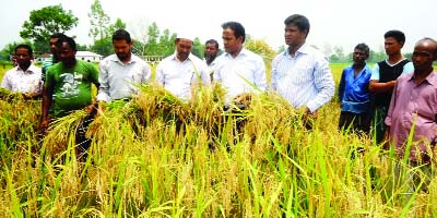 NILPHAMARI: RDRS Bangladesh organised a farmers' field day to demonstrate the framing results, technology and harvesting high zink enriched variety BRRI dhan64 at Dhorepara village in Nilphamari Sadar Upazila yesterday.