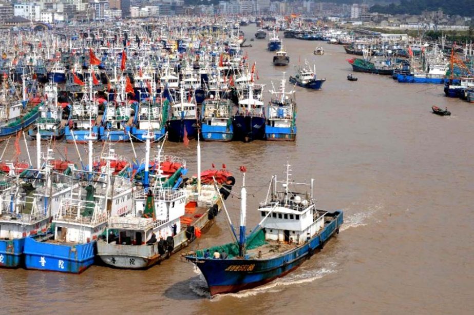 The number of Chinese-flagged or Chinese-owned fishing boats operating in Africa has soared in recent decades, from just 13 in 1985 to 462 in 2013, Greenpeace says.