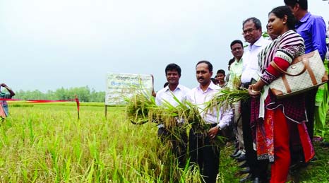 RANGPUR: Fraid Ahammad, DC inaugurating harvest of zink -enriched BRRI dhan 64 as Chief Guest at a farmers' field day organised by RDRS Bangladesh at Mithapuku Upazila on Wednesday.