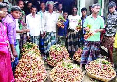 CHHATOK(Sunamganj): Traders at Manikpur Bazar in Noair Union are waiting for customers to sell litchis of their own garden on Sunday.