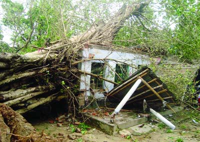 DINAJPUR: Historic Sree Sree Shib Mandir at Fulbari Upazila was badly damaged as a big tree fell down during nor'wester on Saturday night.