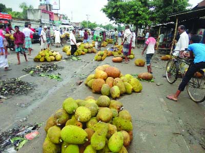 NARSINGDI: A view of a jackfruit market at Morzal Market in Raipur Upazila. This picture was taken on Monday.