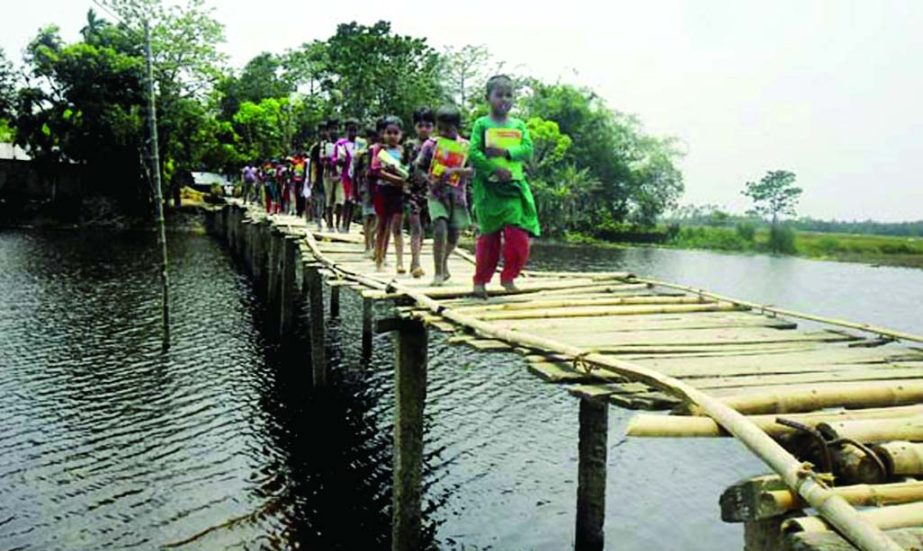 PATUAKHALI: Children have to cross the risky bamboo bridge over Bomantoli canal on Rangamati- Khtoyapara Road in Jhenigathi Upazila everyday. This picture was taken on Monday.