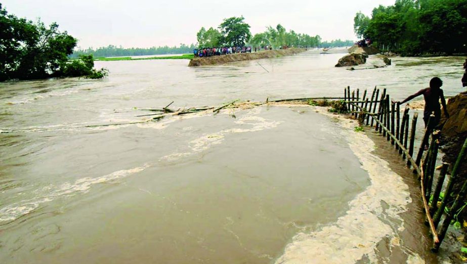 Flood waters enter the locality as 300 meters of flood protection dam on Jamuna River washed away at Sariakandi upazila in Bogra. This photo was taken from Godakhali on Friday.