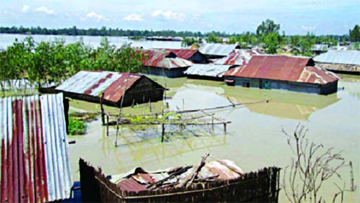 At least 20 villages in Nalitabari upazila of the Sherpur district have been flooded due to heavy rains and onrush of water from the upstream for the last few days.