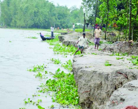 KURIGRAM: Erosion has taken a devastating turn in Kurigram as flood waters started receding and about two hundred houses were engulfed by Bhagoboti river . This picture was taken from Jatrapur Union on Wednesday.