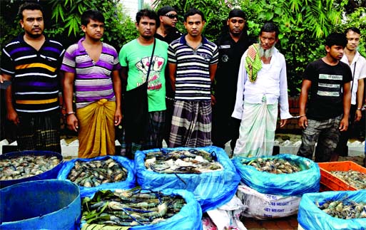 RAB mobile court arrested 8 fish traders from Kawran Bazar and seized huge formalin mixed shrimps and African catfish and fined them Taka 24000 on Thursday.