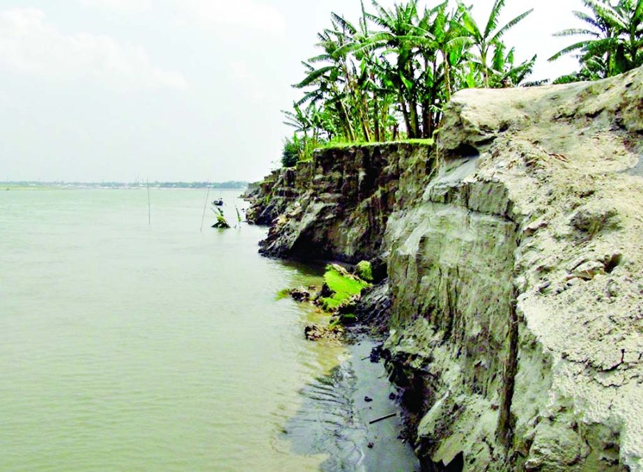 FARIDPUR: Erosion of mighty Padma River has taken a serious turn engulfing huge localities in Fraidpur . This picture was taken from Mirdhadangi village on Tuesday.