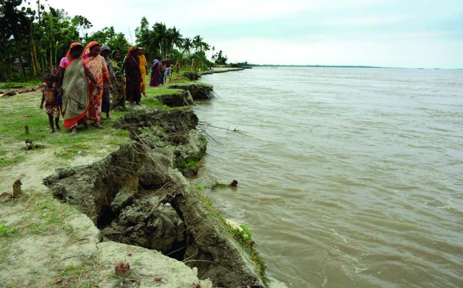 About 5 kilometers area of Jamuna River bank was devoured by sudden erosion threatening houses and standing crops in Sariakandi Upazila in Bogra. This photo was taken on Wednesday.
