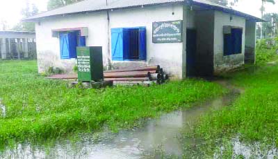 TANGAIL: Bangladesh Agriculture Development Corporation ( BADC) office premises has gone under water due to normal rainfall yesterday.