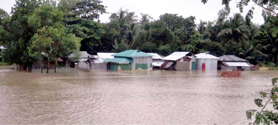 Heavy rain and water from the hill have inundated dwelling houses in Ramu Bazar on Friday.