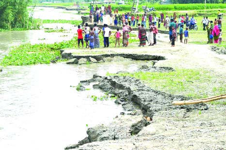 KURIGRAM: A view of river erosion at Kurigram Sadar Upazila on Saturday.