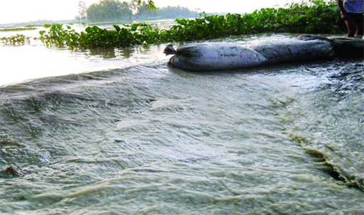 About 25/30 villages were inundated as flood protection dam on Teesta river was partially damaged by the swelling flood waters rendering thousands of people homeless. This photo was taken from Nilphamary on Thursday.