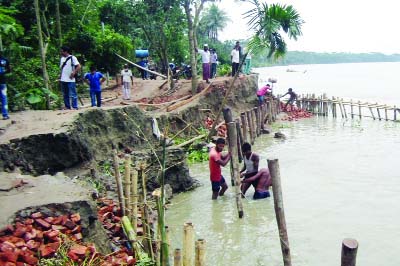 BARISAL: Local people have started voluntary activities to make an embankment to check Kirtankhola River erosion at Charbaria point on Wednesday.