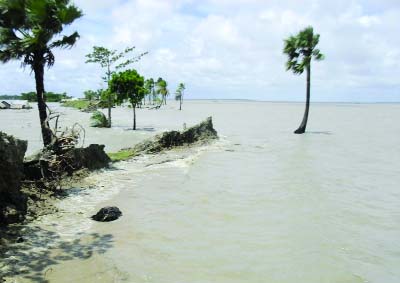 KALAPARA(Patuakhali): A vast areas of Charipara village in Kalapara Upazila have been submerged due to dam collapsed. This picture was taken on Wednesday.