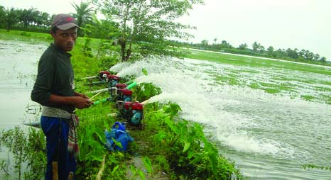 KHULNA: A farmers using shallow machine to minimise water from Aman seedbeds as these are underwater due to heavy rainfall. This picture was taken from Madgobkathi area in Dumuria Upazila on Friday. KHULNA: A farmers using shallow machine to minimise wat