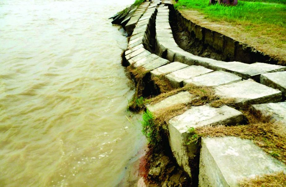 Two segments of around 100-metre areas of Flood Control Embankment on Padma river in Faridpur started to give in following the recent incessant rains and onrush of waters. This photo was taken on Wednesday.