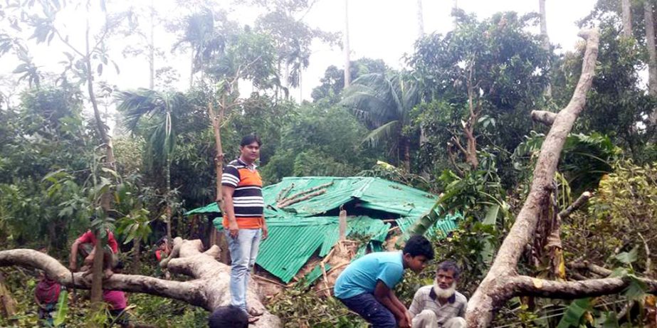 A good number of houses were damaged and trees were uprooted as cyclone Komen hit Teknaf in Cox'sBazar on Thursday.