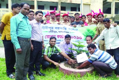 GOURIPUR(Mymensingh): A tree plantation programme was launched at Gouripur Govt College campus jointly organised by BNCC and Rover Scouts on Thursday.