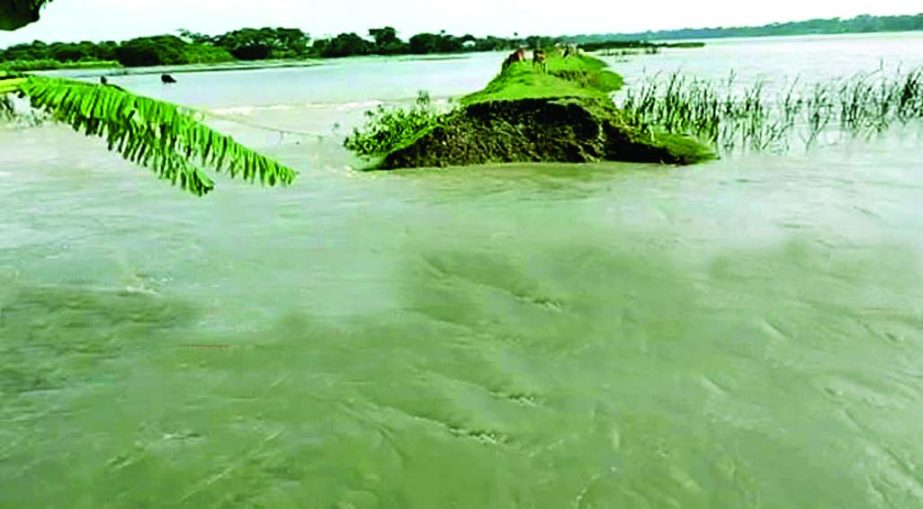 Hundreds of families were marooned as flood protection embankment, built by the Water Development Board, was washed away due to onrush of flood waters and tidal surge at Barguna. This photo was taken from Mazherchar area on Tuesday.