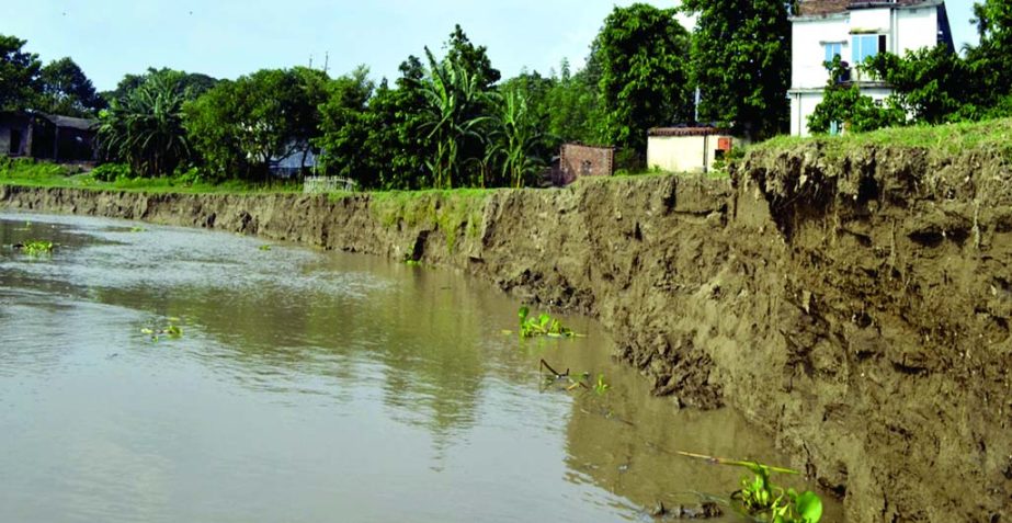 A vast portion of Rajshahi city on the verge of extinction due to Padma River erosion. This photo was taken from city's Bulanpur area on Wednesday.