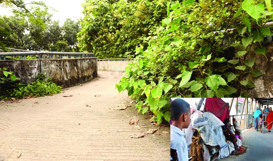 The foot overbridge near the city's Engineersâ€™ Institution Bangladesh has become a safe haven for anti-social elements including drug peddlers and snatchers. Pedestrians are seen (inset) passing through the tiny space while a floating family has t