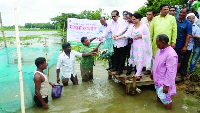 SYLHET: Mahmud -us- Samad MP releasing fish fries in open water body organised by Fenchuganj Upazila Fisheries Directorate recently.