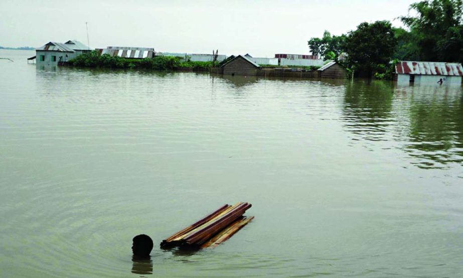 Torrential rains and onrush of flood waters submerged the villages of Char Rajibpur in Kurigram. This photo was taken on Saturday.