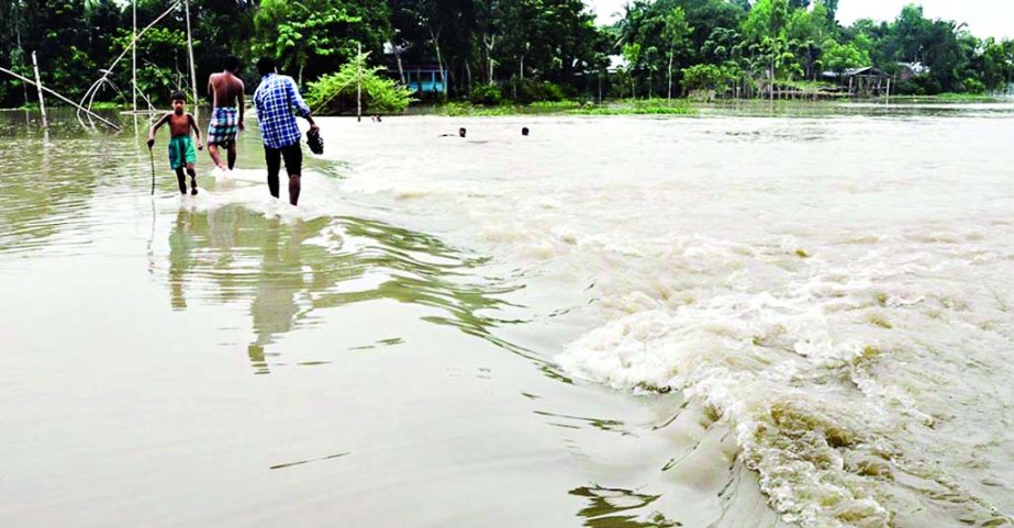 Vast areas of Jamalpur district were inundated afresh due to onrush of hilly water. Pure drinking water and food are badly needed for the affected people there. This photo was taken on Tuesday.