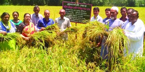 RANGPUR: Expanded cultivation of the short duration and local variety parija rice as an additional Aus crop substantially increasing rice production to ensure food security amid changing climate in recent years.