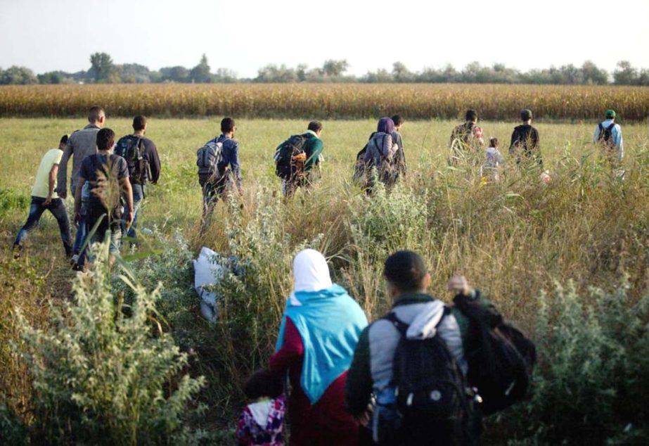 Refugees run into a corn field after crossing from Serbia through the barbed wire fence, near Roszke, southern Hungary.