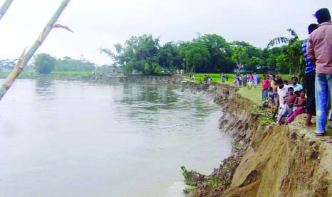 DINAJPUR: River erosion has been engulfing Alokhjhhari Village in Khansama Upazila for long time. No step has yet been taken to check the erosion. This picture was taken on Sunday.