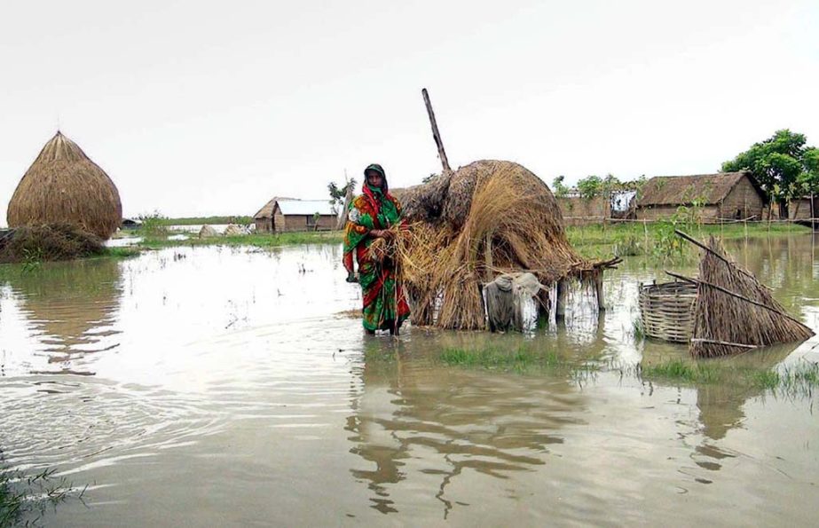 A housewife stands in knee-deep water idly at her homestead inundated by floodwaters due to heavy downpour. The snap was taken from Kaluar Char area in Kurigram on Friday.