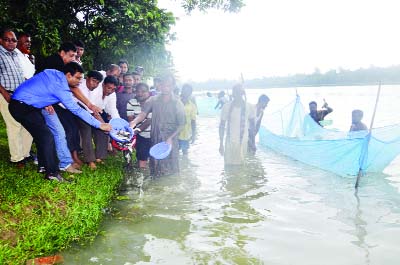 DINAJPUR: Md Abu Raihan Miah , Additional Deputy Commissioner , Dinajpur releasing fish fries in traditional Ramsagar Dighi on Thursday.