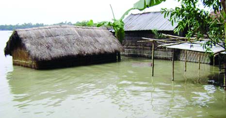 KURIGRAM: Floodwaters of the Brahmaputra have inundated the low-lying areas of Byaparipara Village under Ramna Union in Chilmari Upazila of Kurigram causing immense sufferings to the people living there on Sunday.