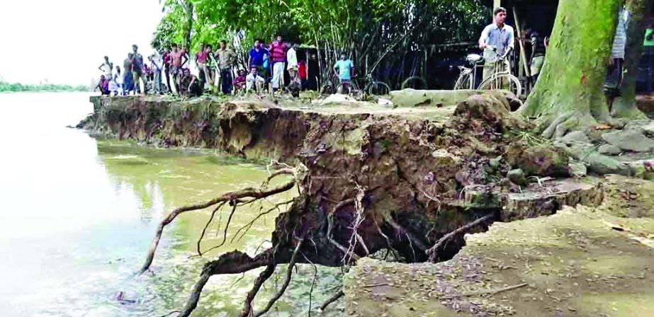 At least two hundred houses and cropland being washed away at Gobindaganj Upazila in Gaibandha due to serious erosion and breach of Katakhali River embankment. This photo was taken from Boubazar area on Wednesday.