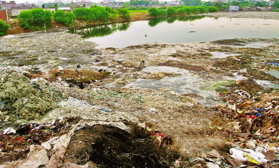 A view of the Hazaribagh tannery waste flowing into the Buriganga River. The picture was taken on Sunday.