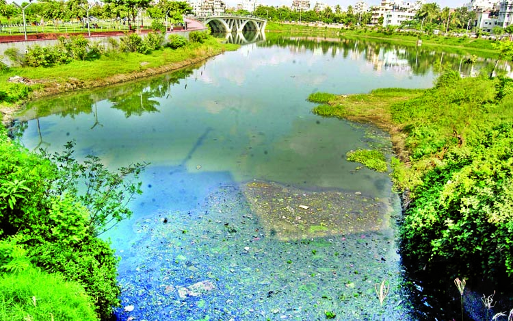 Much-hyped Hatirjheel project loosing its scenic beauty due to lack of proper maintenance and dumping of household wastes in the water bodies inside the project. This photo was taken from the site on Tuesday.