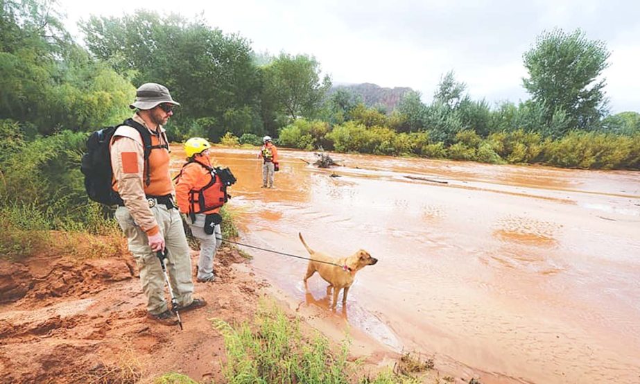 Colorado City, Arizona: Members of the Mojave County search and rescue team use dog to search for bodies after a flash flood on Tuesday.