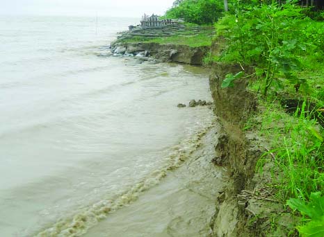 RAJBARI: Padma River erosion has taken a devastating turn at Dhollapara area in Daulatpur Union. This picture was taken on Wednesday.