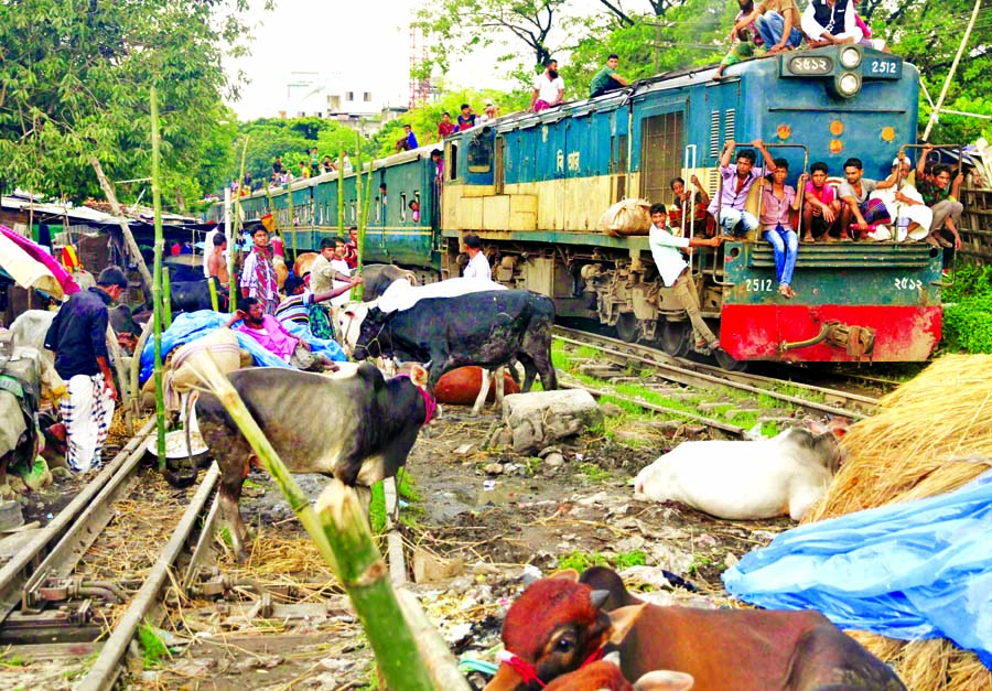 Mini-cattle market opened near Rly line despite govt restriction. This photo was taken from city's Titipara area on Saturday.