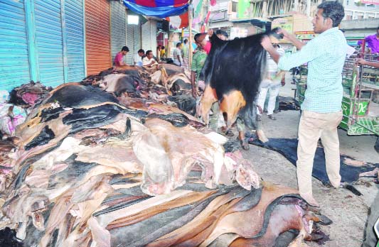 BOGRA: Traders in Bogra purchasing raw hides in different roads. This picture was taken from Badurtola on Friday.
