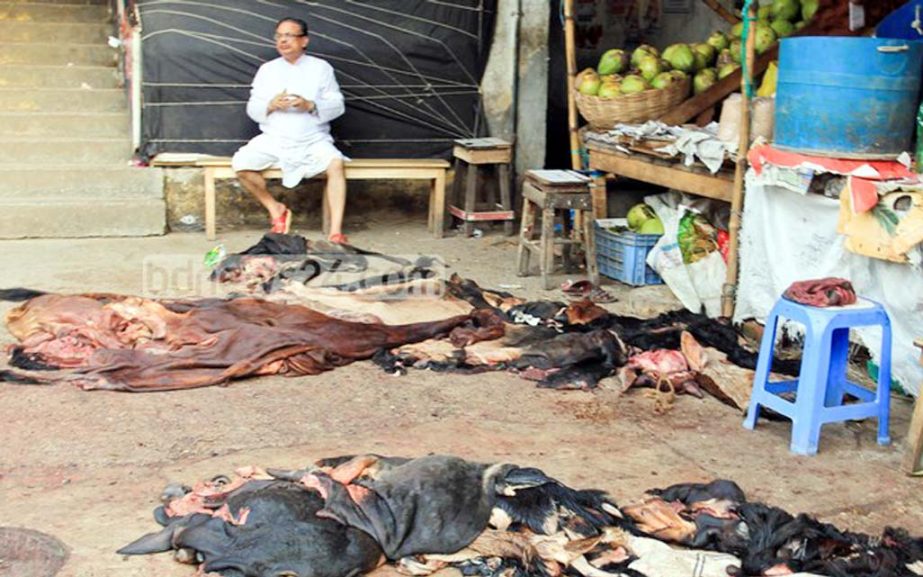 A stockist seen with hides in Chittagong market.