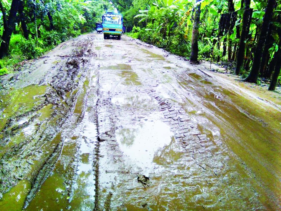 BETAGI (Barguna ): Padrishibpur to Bakerganj Road in Betagi Upazila has been in dilapidated condition for a long time causing sufferings to the pedestrians. It needs immediate repair . This picture was taken on Tuesday.